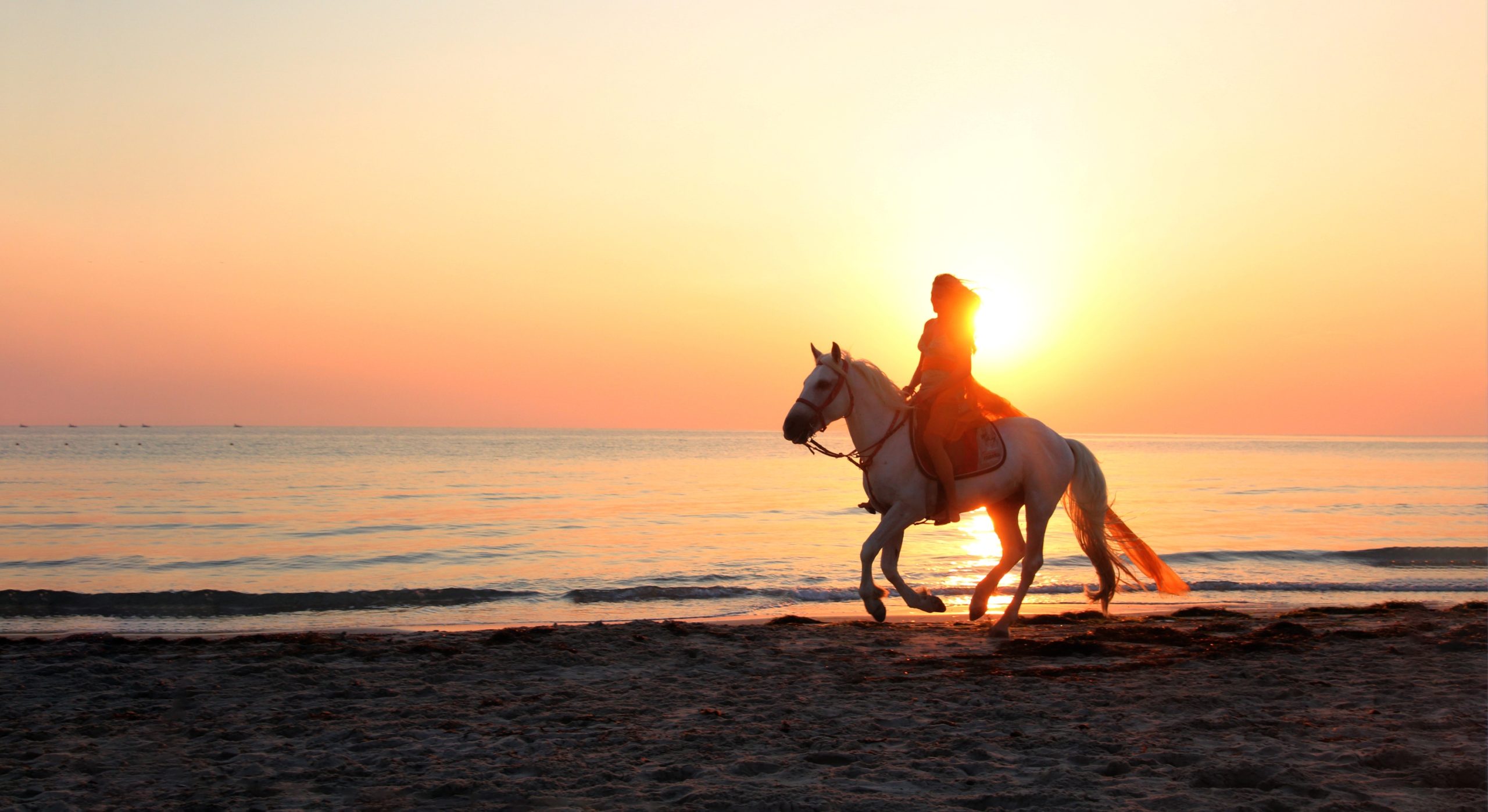 Serene New Jersey coastal sunset representing peace of mind with the right Medicare health coverage
