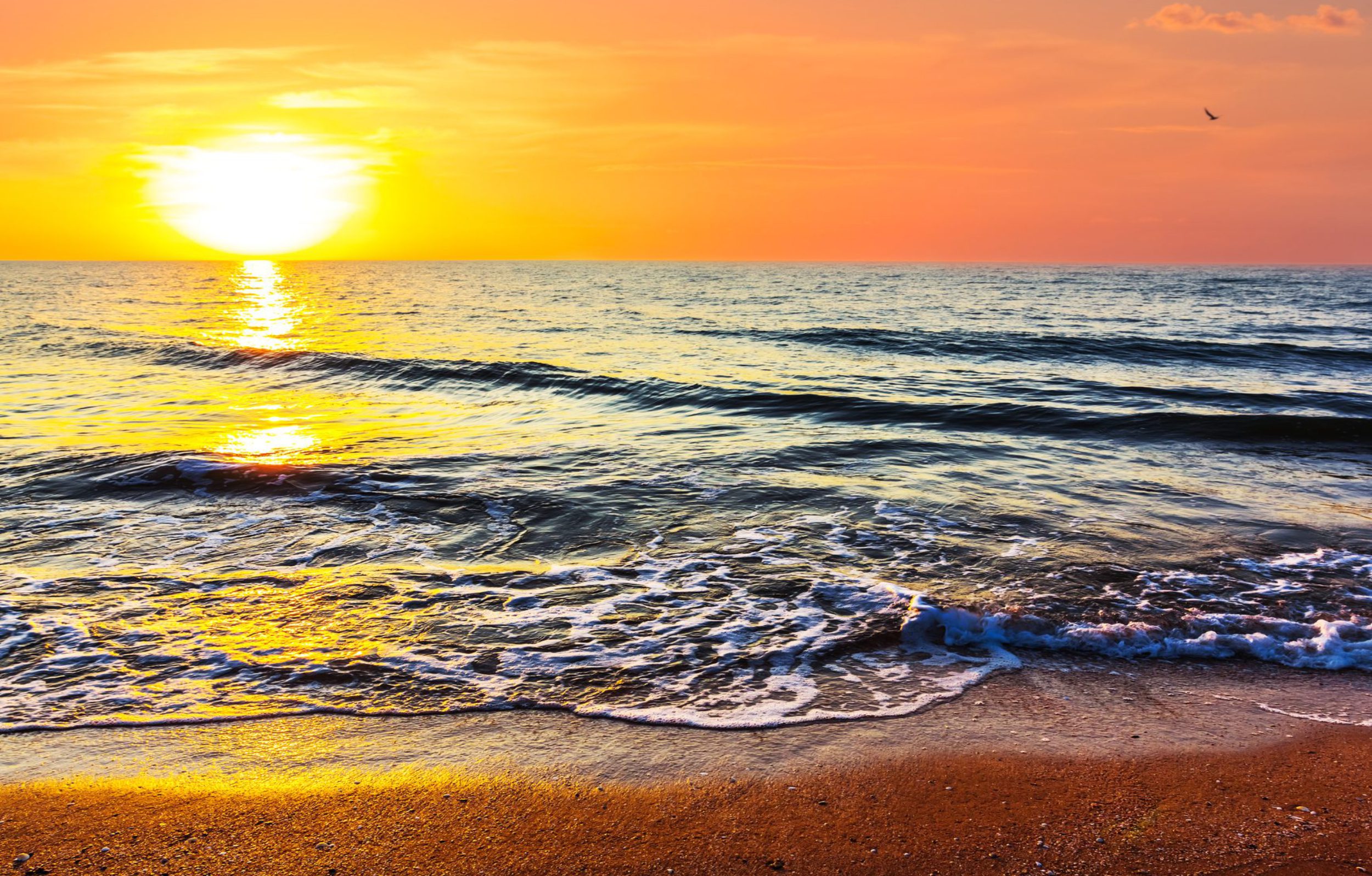 Tranquil beach sunset symbolizing seamless and stress-free Medicare Health Insurance transitions
